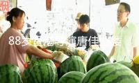 88歲香港導(dǎo)演唐佳墜樓身亡！現(xiàn)場慘烈身首異處，初判因妻病重自殺