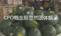 CPO概念股忽然團(tuán)體飆升！半導(dǎo)體傳來兩大重磅！