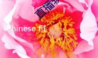 Chinese film week in Budapest promotes cultural exchange through cinema