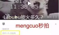 Labubu能火多久？專家猜測：盜版或加快其時(shí)髦周期完結(jié)