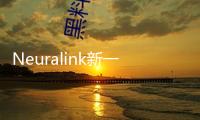 Neuralink新一輪巨額融資背面：腦機(jī)接口步入“瘋狂”