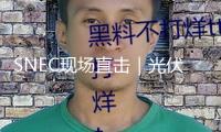 SNEC現(xiàn)場直擊｜光伏與儲能深度交融重塑工業(yè)格式
