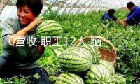 0營(yíng)收 職工12人 腦再生科技股價(jià)半年漲超460倍！創(chuàng)始人投行身世 自曝曾承受中醫(yī)醫(yī)治超越30年