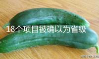 18個項目被確以為省級人工智能典型使用場景