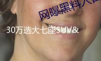 30萬選大七座SUV，全家出行不擁堵，這三款值得考慮