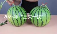 2025年“三支一扶”方案來了 一圖了解→