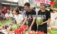 2025年首只大熊貓幼崽誕生 狀況良好