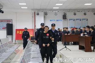 寶雞陳倉(cāng)區(qū)爆料案件最新,案情揭秘，警方全力偵破