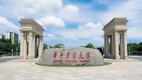 華中農(nóng)大最新爆料事件,校園事件引發(fā)社會關(guān)注