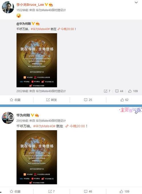 向靖爆料視頻大全最新版,揭秘娛樂圈不為人知的秘密